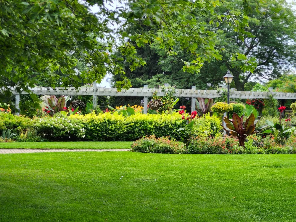 Fresh mulch in a clean garden bed